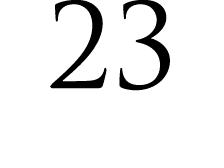 23