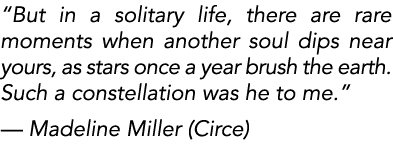  But in a solitary life, there are rare moments when another soul dips near yours, as stars once a year brush the ear   