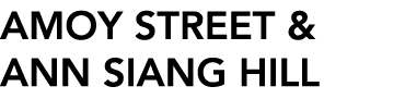 AMOY STREET & ANN SIANG HILL 