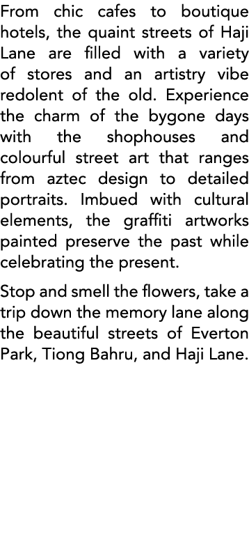 From chic cafes to boutique hotels, the quaint streets of Haji Lane are filled with a variety of stores and an artist   