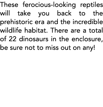 These ferocious-looking reptiles will take you back to the prehistoric era and the incredible wildlife habitat  There   