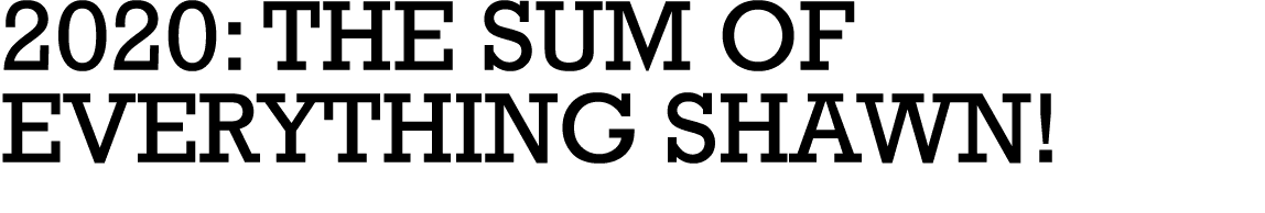 2020: THE SUM OF EVERyTHING SHAWN 