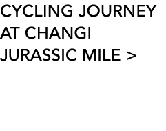 CYCLING JOURNEY AT CHANGI JURASSIC MILE  