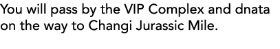 You will pass by the VIP Complex and dnata on the way to Changi Jurassic Mile 