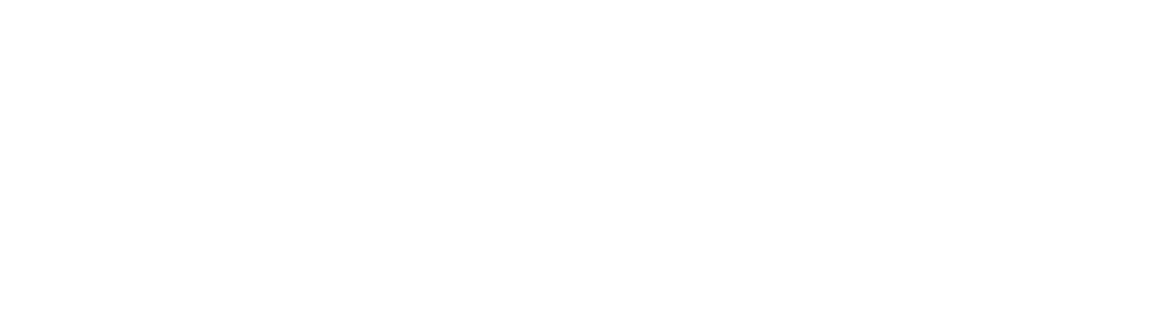 EXCLUSIVE INTERVIEW HOK KIAW ATHLETIC ASSOCIATION LION DANCE TROUPE